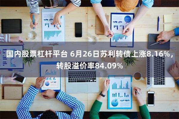 国内股票杠杆平台 6月26日苏利转债上涨8.16%，转股溢价率84.09%