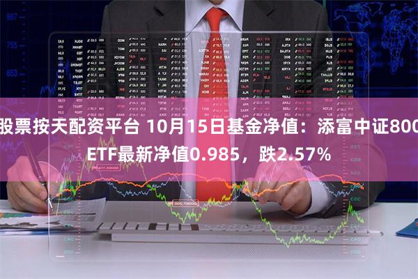 股票按天配资平台 10月15日基金净值：添富中证800ETF最新净值0.985，跌2.57%