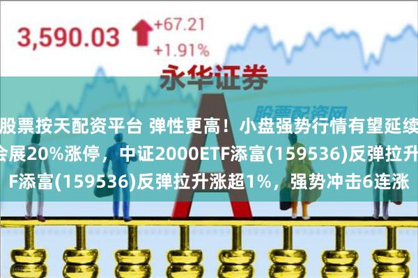股票按天配资平台 弹性更高！小盘强势行情有望延续，天龙集团、米奥会展20%涨停，中证2000ETF添富(159536)反弹拉升涨超1%，强势冲击6连涨