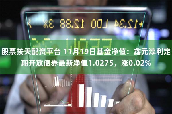 股票按天配资平台 11月19日基金净值：鑫元淳利定期开放债券最新净值1.0275，涨0.02%