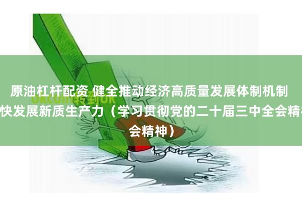 原油杠杆配资 健全推动经济高质量发展体制机制  加快发展新质生产力（学习贯彻党的二十届三中全会精神）