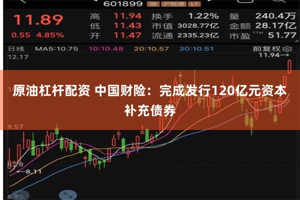 原油杠杆配资 中国财险：完成发行120亿元资本补充债券