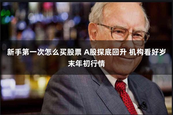 新手第一次怎么买股票 A股探底回升 机构看好岁末年初行情